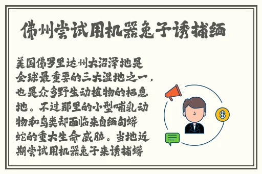 亚洲蜜芽在线精品一区
